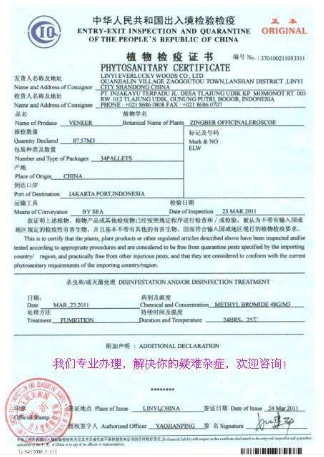 ֲ��z���C���ǈ�(b��o)|�Ї����T�r(sh��)��(b��o)�ǈ�(b��o)|�ǈ�(b��o)��