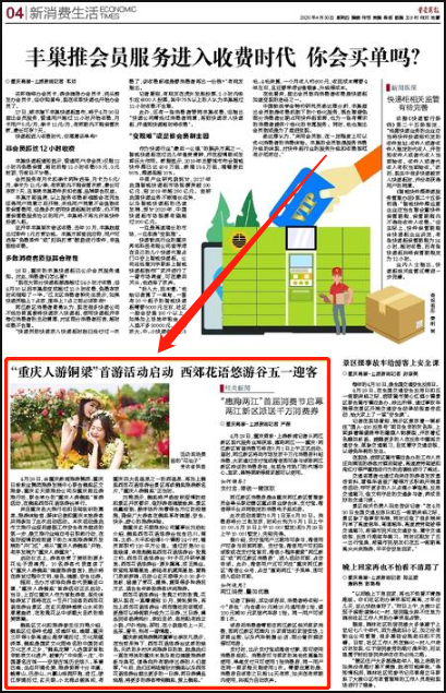 重慶商報軟文刊登